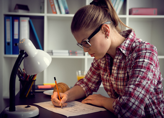 e-Learning Online-Kurs Technische Voraussetzung e-Learning Online-Kurs Technische Voraussetzung