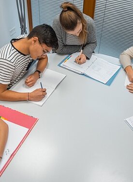 Vorkurs Gymnasium ab 1.Sek.